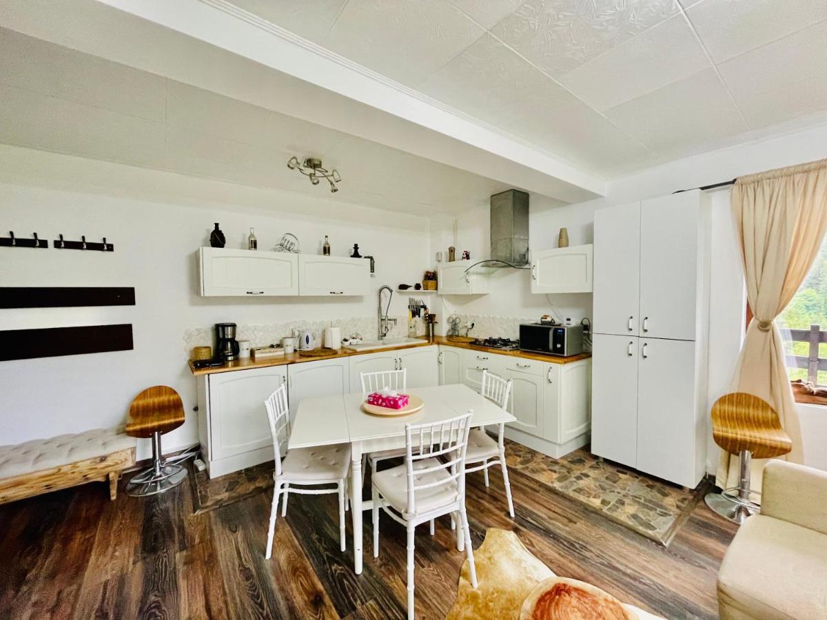 Delux Apartment Predeal Εξωτερικό φωτογραφία