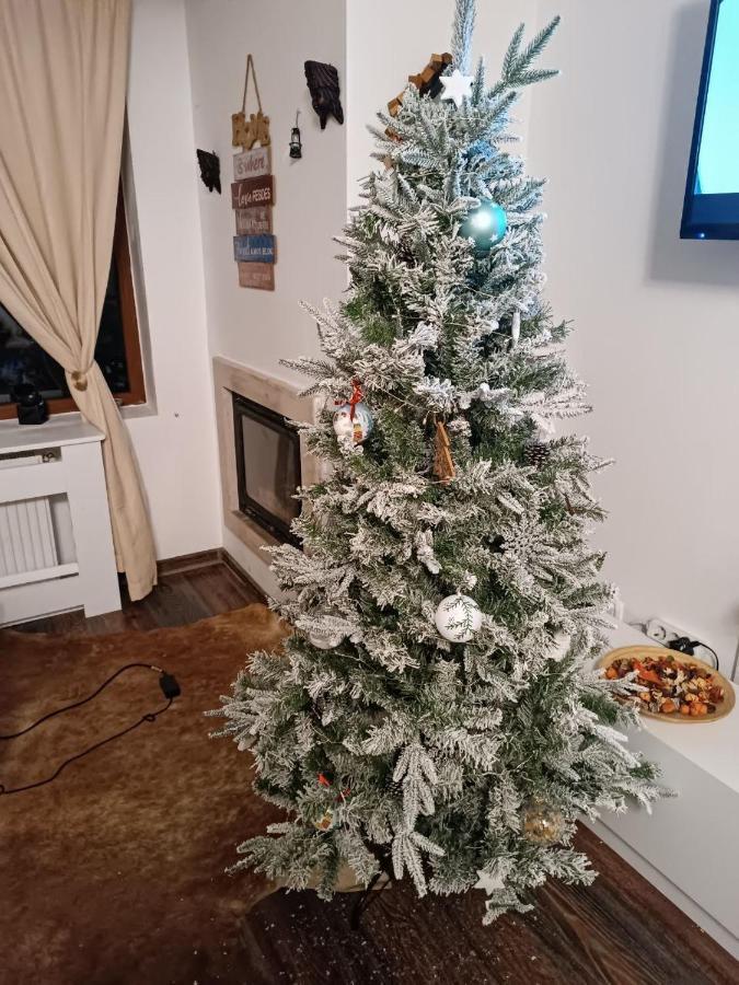 Delux Apartment Predeal Εξωτερικό φωτογραφία